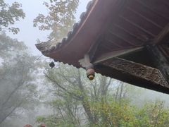 -峨眉山风景名胜区