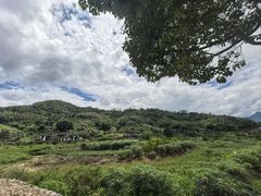 -福建土楼（华安）旅游区•大地土楼群