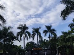 -100蛋泥浆浴