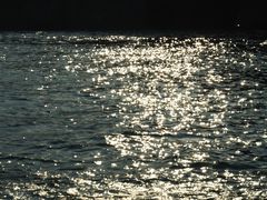 -海驴岛(荣成市)