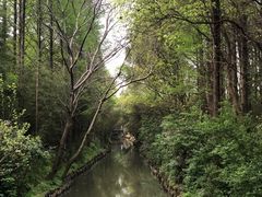 -同里国家湿地公园