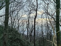 -岳麓山风景名胜区