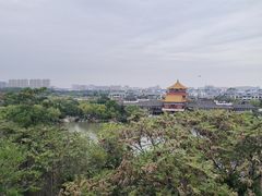 -翰园碑林