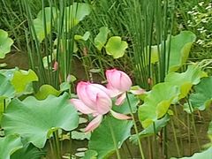 -湖南湘都生态农业园