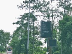 -美的鹭湖探索王国