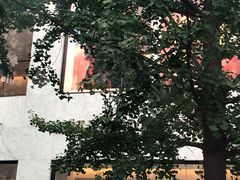 -Alexander McQueen(远洋太古里店)