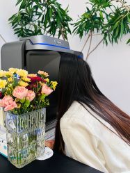 -玛莲朵·海菲秀冰珀科