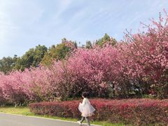 -九里河湿地公园
