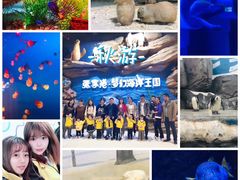 -梦幻海洋王国(吾悦广场张家港店)