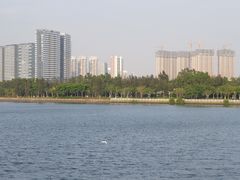 -五缘湾湿地公园