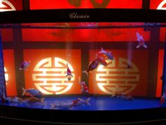 -老六杀猪菜(进乡街店)