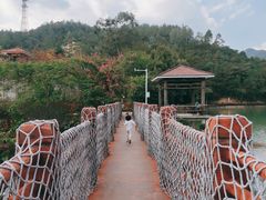 -广州白江湖森林公园