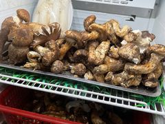 -太婆天府山珍酒楼(亚运村店)