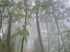 -九曜山