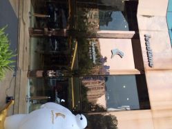 iphone_upload_pic-SO HAIR