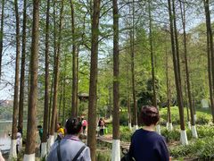 -重庆彩云湖湿地公园