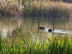 -养云安缦吧THE BAR