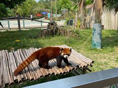 -泉州海丝野生动物世界