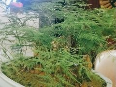 -知足堂养生会所(碑亭巷店)