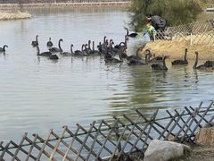 -漩门湾国家湿地公园