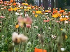 -云溪植物园