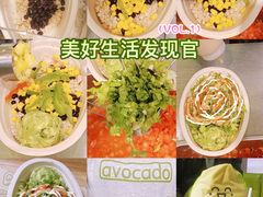 -油梨树AVOCADO TREE(望京店)