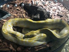 -成都浩海立方海洋公园