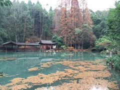 -灵栖洞天