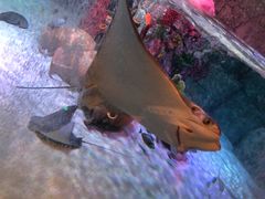 -沈阳海洋探索中心