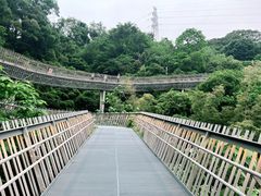 -福道