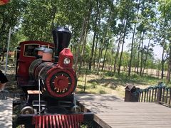 -合肥滨湖国家森林公园