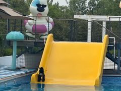 -爪吧宠物乐园 (温榆河示范区店)