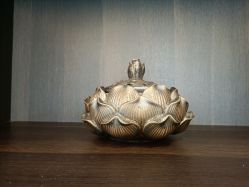 -铂诗玥医美