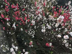 -重庆抗战遗址博物馆