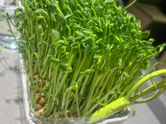 -海底捞火锅(龙湖北京大兴天街店)