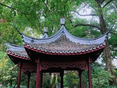 -上海醉白池公园