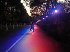 -艾溪湖湿地公园