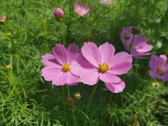 -福建鲤鱼洲酒店