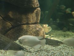 -合肥海洋世界