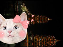 -龙虎塔