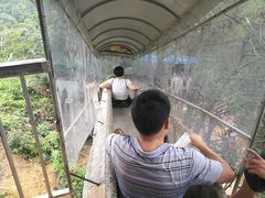 -牛鱼嘴原始生态风景区