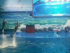 -多彩贵州城极地海洋世界