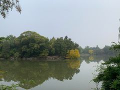 -勺园西餐厅