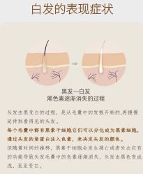 -Bollins波林丝•专研护发中心