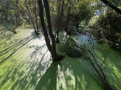 -西湖风景区-江洋畈生态公园