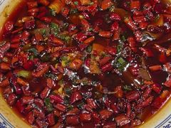 -院8里·少城记忆老川菜(宽窄巷子店)