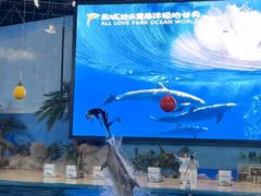 -泉城欧乐堡海洋极地世界