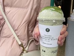 -茉酸奶(春熙路店)