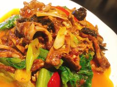 -陈麻婆豆腐总店