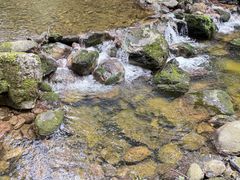 -牛背梁国家森林公园